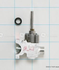 GE VALVE KIT - WB21X22080