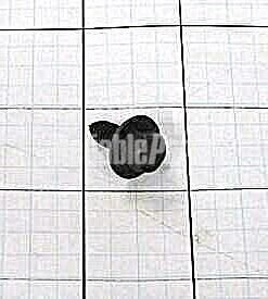 FRIGIDAIRE HINGE MOUNTING SCREW - 240578902