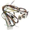 GE HARNESS ASSEMBLY GAS - WE15X25578