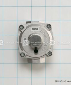 GE PRESSURE REGULATOR - WB19K10054