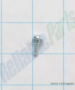 GE SCREW - WE2M173