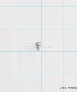 GE SCREW - WB1X681