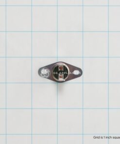 GE CLEAN TCO - WB24T10061