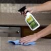 GE CERAMA BRYTE GRANITE CLEANER - WX10X310