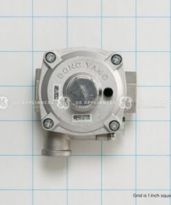 GE PRESSURE REGULATOR - WB19K10090