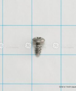 GE SCREW - WH01X20231